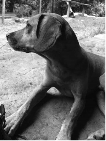 Ciudad
Perdida, Johanna Orduz