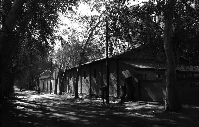 Bodega Di Tommaso y
Casa Guevara en carril Urquiza – Distrito de Coquimbito. 