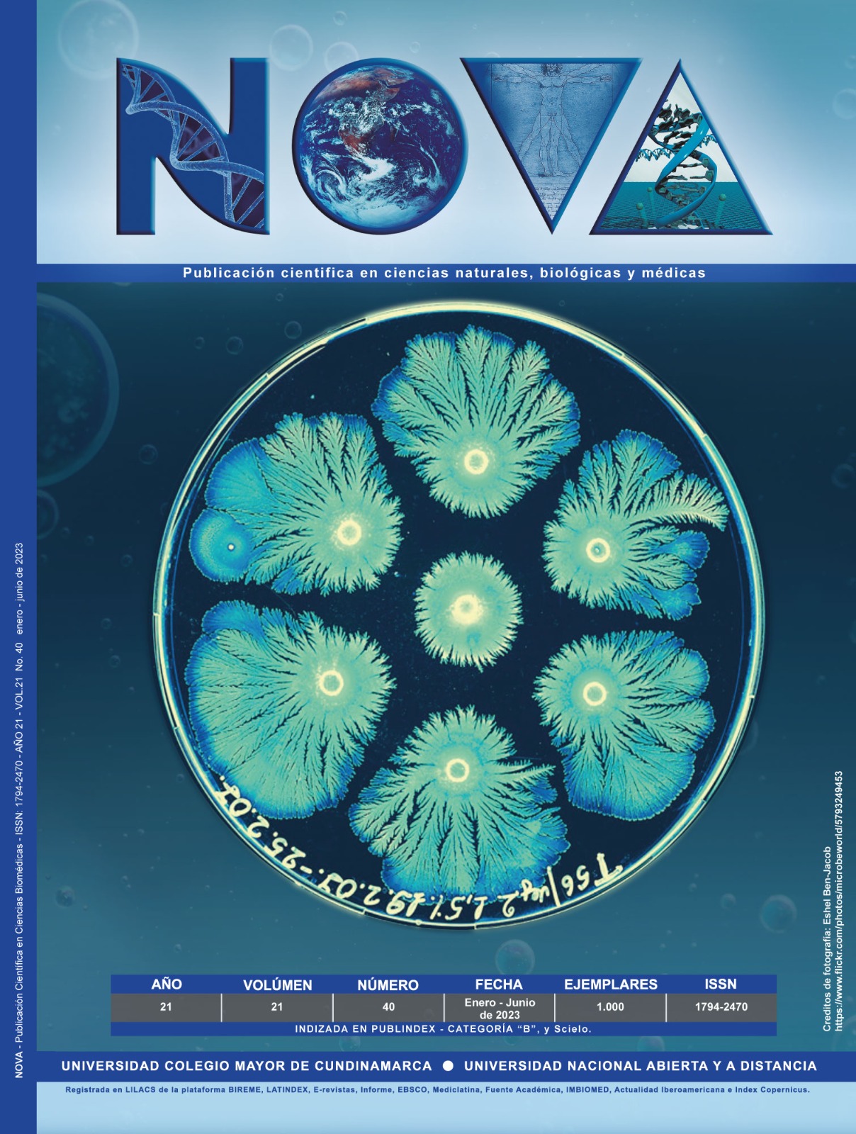 Revista Nova